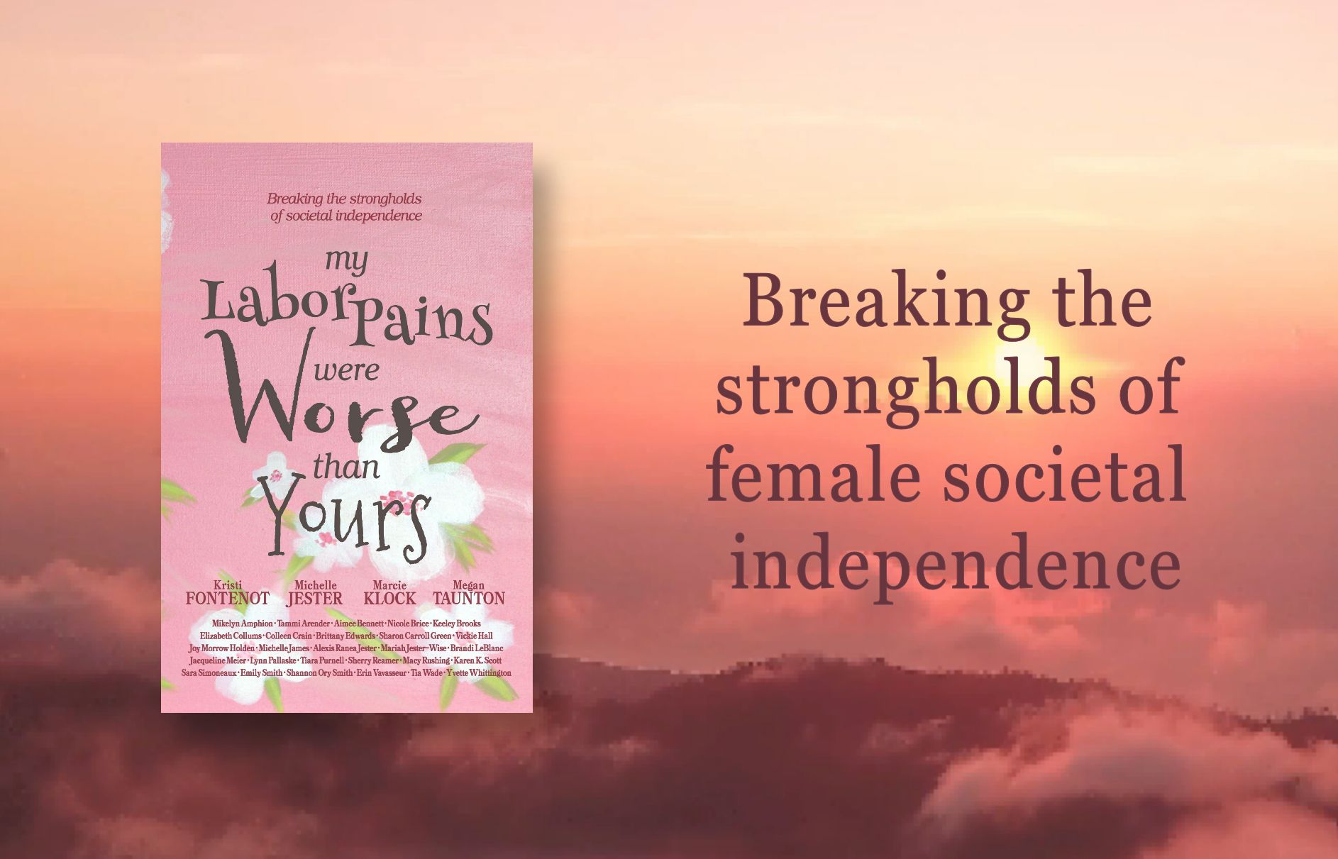 Ann_Purvis_website_header2_MLPWWTY_by_Elizabeth_Collums1
